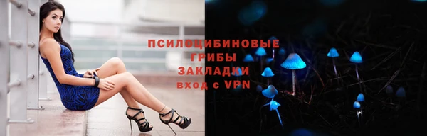 ПСИЛОЦИБИНОВЫЕ ГРИБЫ Каменск-Шахтинский
